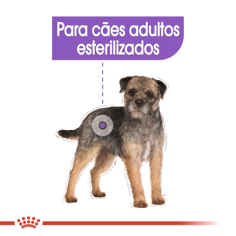 Royal Canin Sterilised Adult - Alimento em patê para cão esterilizado