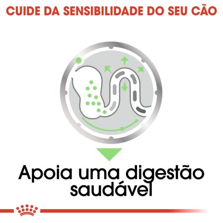 Royal Canin Digestive Care Adult - Alimento em patê para cão com sensibilidade digestiva