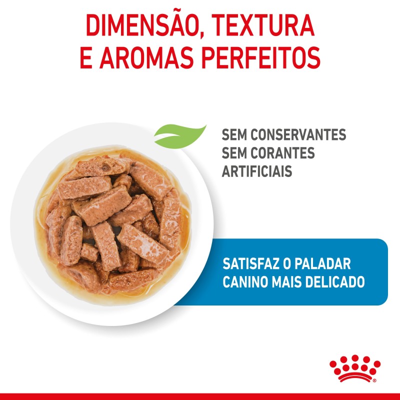 Royal Canin Puppy Maxi - Alimento em molho para cachorro de porte grande