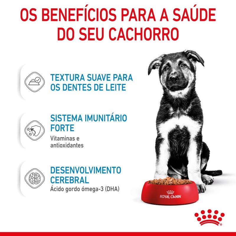 Royal Canin Puppy Maxi - Alimento em molho para cachorro de porte grande