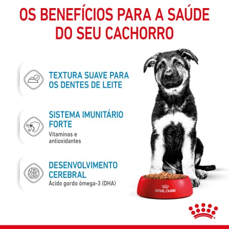 Royal Canin Puppy Maxi - Alimento em molho para cachorro de porte grande