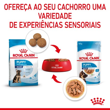 Royal Canin Puppy Maxi - Alimento em molho para cachorro de porte grande