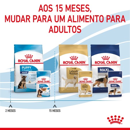 Royal Canin Puppy Maxi - Alimento em molho para cachorro de porte grande