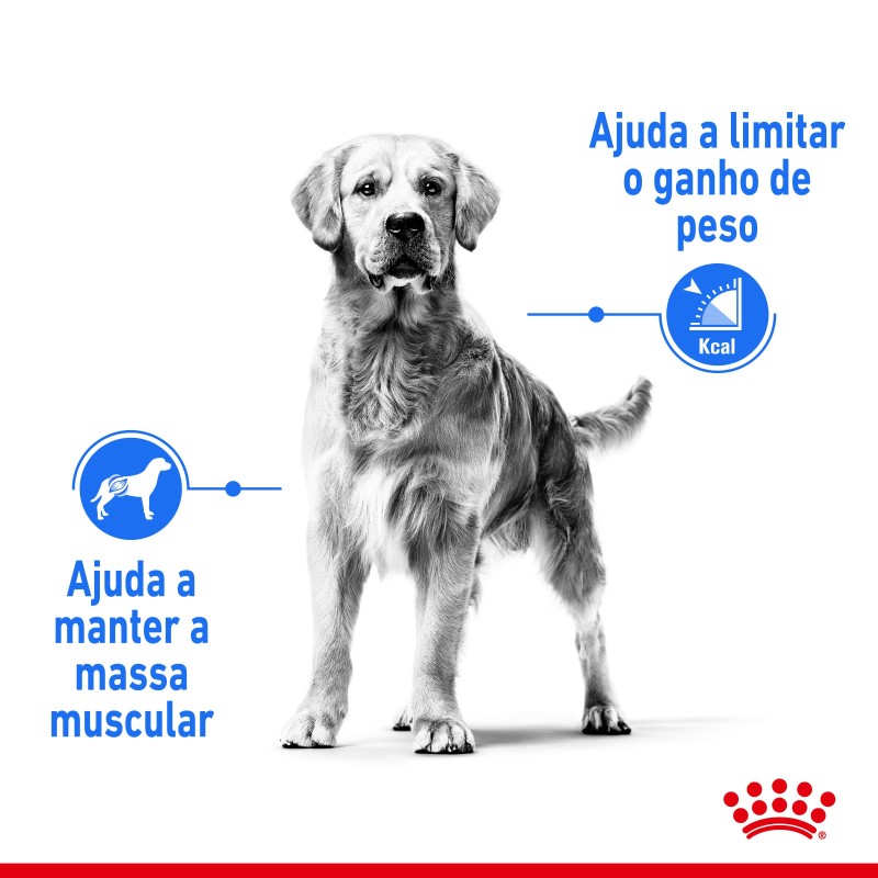 Royal Canin Light Weight Care Maxi Adult - Ração seca para cão de porte grande para controlo de peso