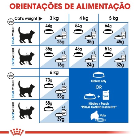 Royal Canin Indoor Long Hair Adult - Ração seca para gato de interior com pelo longo