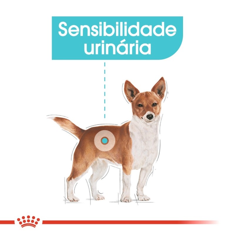 Royal Canin Urinary Care Mini Adult - Ração seca para cão de porte pequeno com sensibilidade urinária