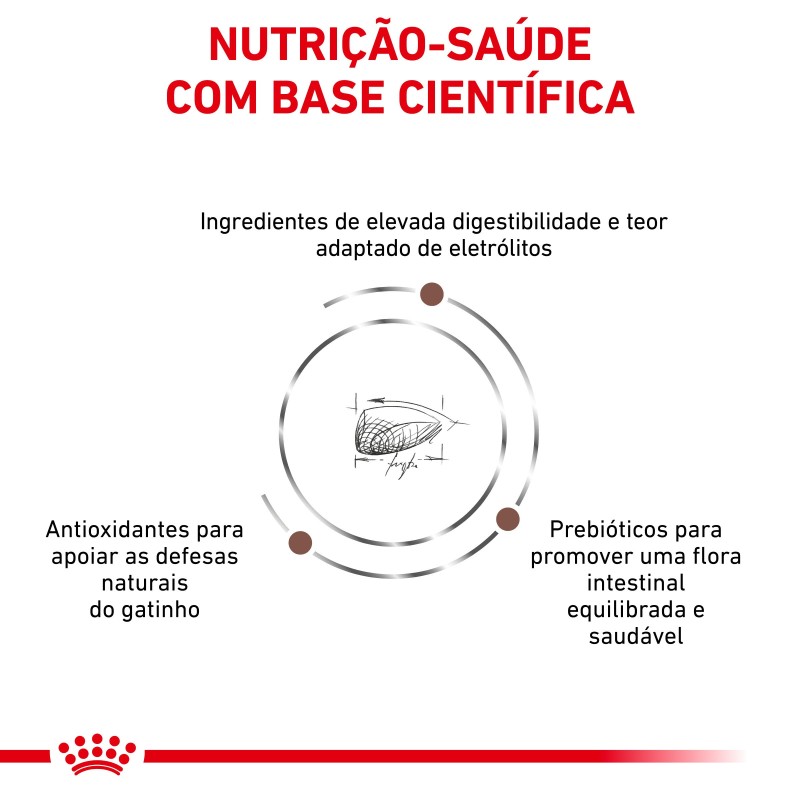 Royal Canin VET Gastrointestinal Kitten - Ração seca para gatinho com problemas digestivos