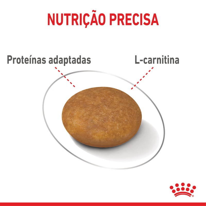 Royal Canin Light Weight Care X-Small Adult - Ração seca para cão de porte muito pequeno para controlo de peso