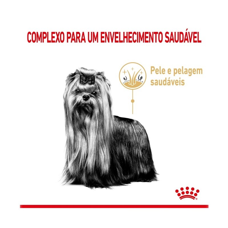 Royal Canin Yorkshire Terrier Adult 8+ - Ração seca para cão de raça