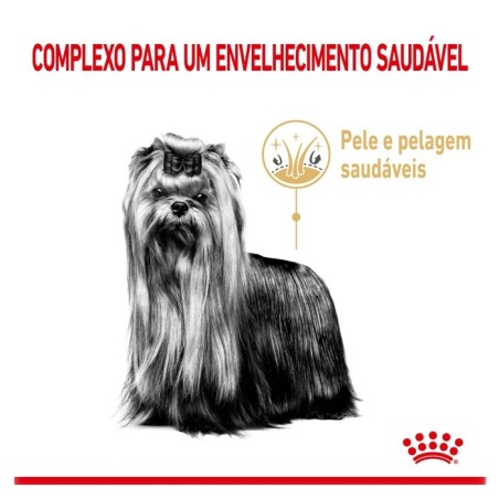 Royal Canin Yorkshire Terrier Adult 8+ - Ração seca para cão de raça