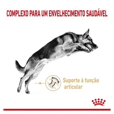 Royal Canin Pastor Alemão Adult 5+ - Ração seca para cão de raça com mais de 5 anos