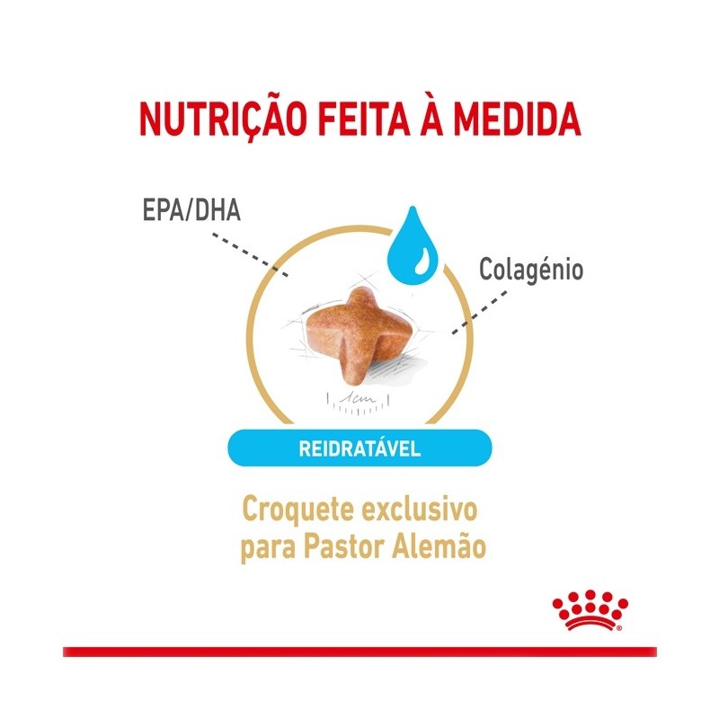 Royal Canin Pastor Alemão Adult 5+ - Ração seca para cão de raça com mais de 5 anos