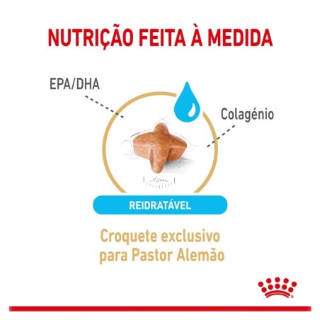 Royal Canin Pastor Alemão Adult 5+ - Ração seca para cão de raça com mais de 5 anos