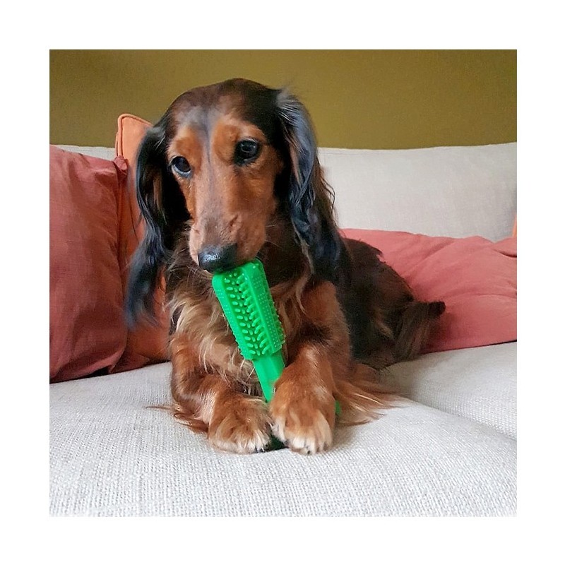 Escova mordedora para cães - Duvo Plus