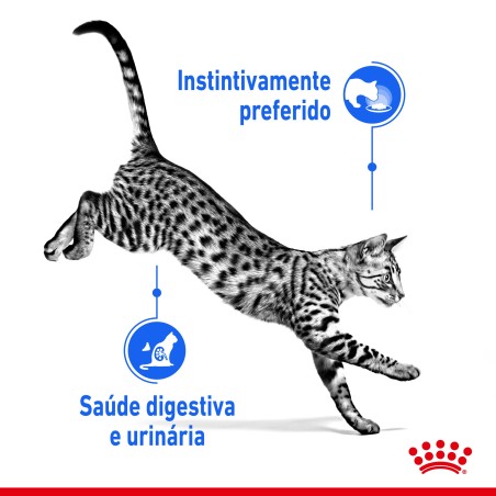 Royal Canin Indoor Sterilised Adult - Alimento em molho para gato de interior esterilizado