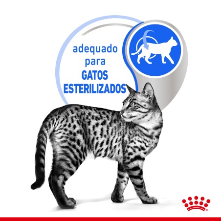 Royal Canin Indoor Sterilised Adult - Alimento em molho para gato de interior esterilizado