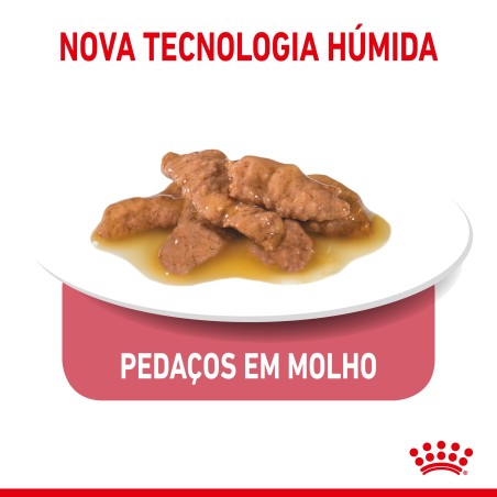 Royal Canin Indoor Sterilised Adult - Alimento em molho para gato de interior esterilizado