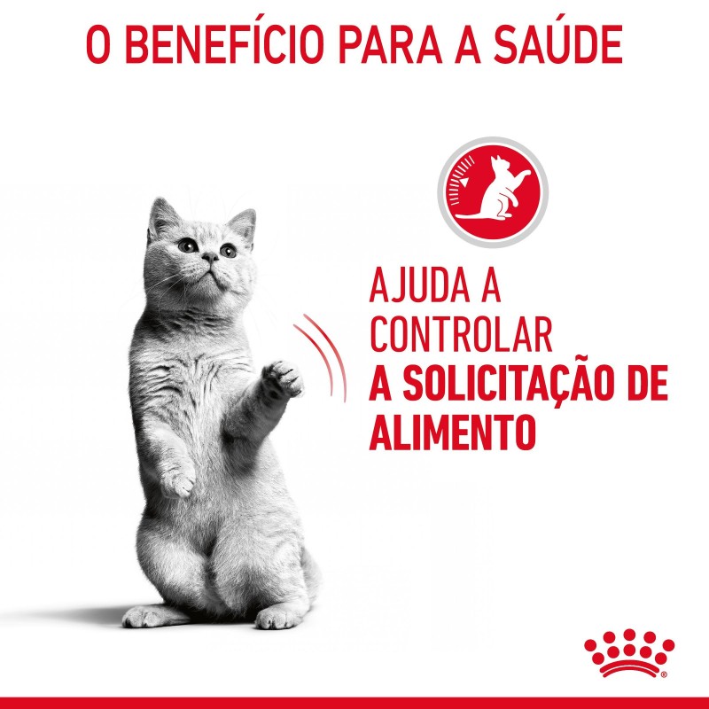 Royal Canin Appetite Control Care - Alimento em molho para gato adulto para controlo do apetite