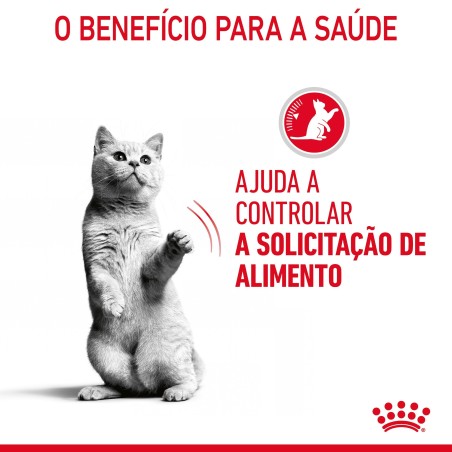 Royal Canin Appetite Control Care - Alimento em molho para gato adulto para controlo do apetite