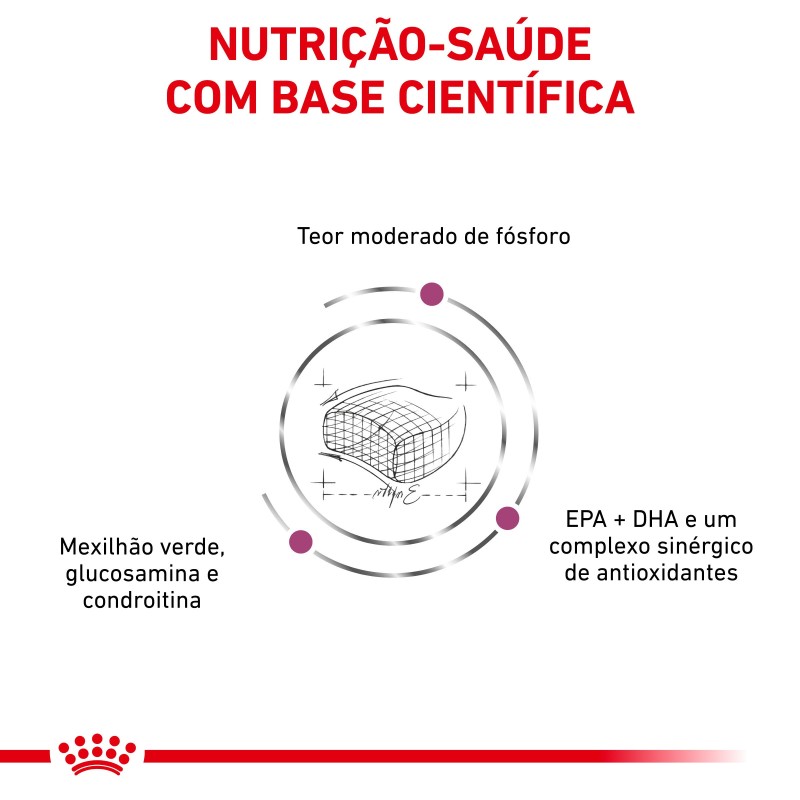 Royal Canin VET Early Renal - Ração seca para gato adulto com doença renal precoce