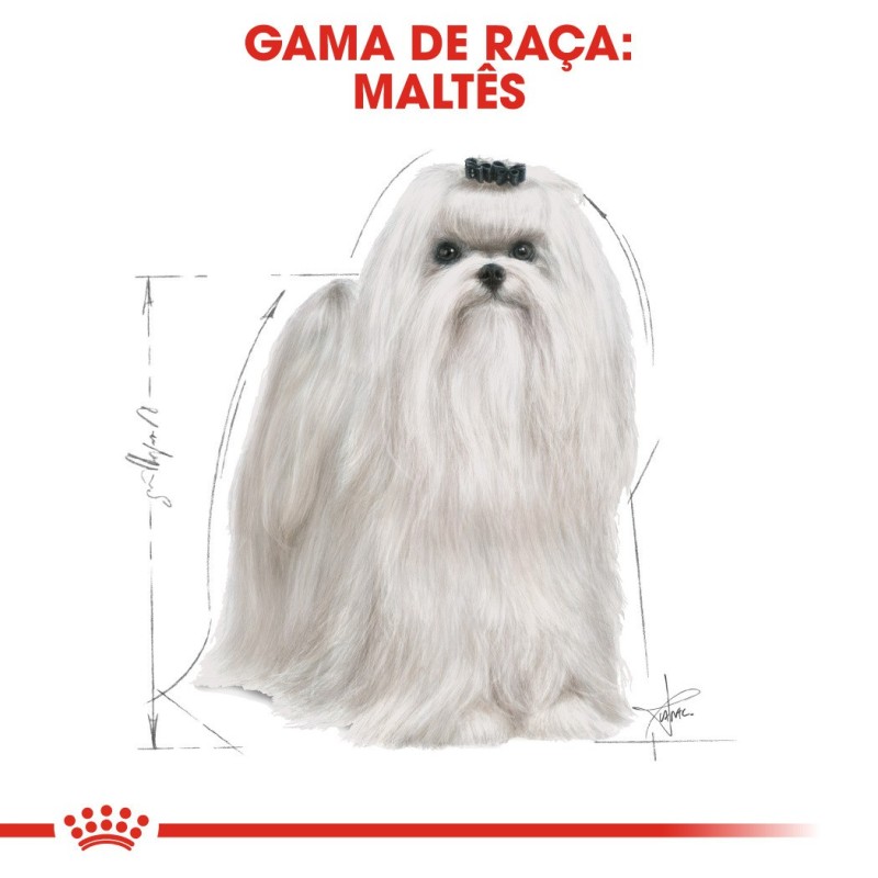 Royal Canin Maltese Adult - Ração seca para cão de raça