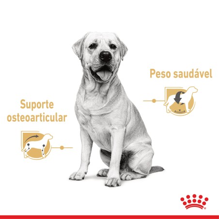 Royal Canin Labrador Retriever Adult - Alimento em molho para cão de raça