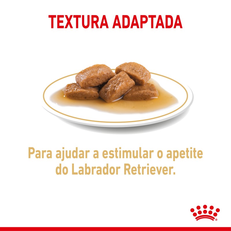 Royal Canin Labrador Retriever Adult - Alimento em molho para cão de raça