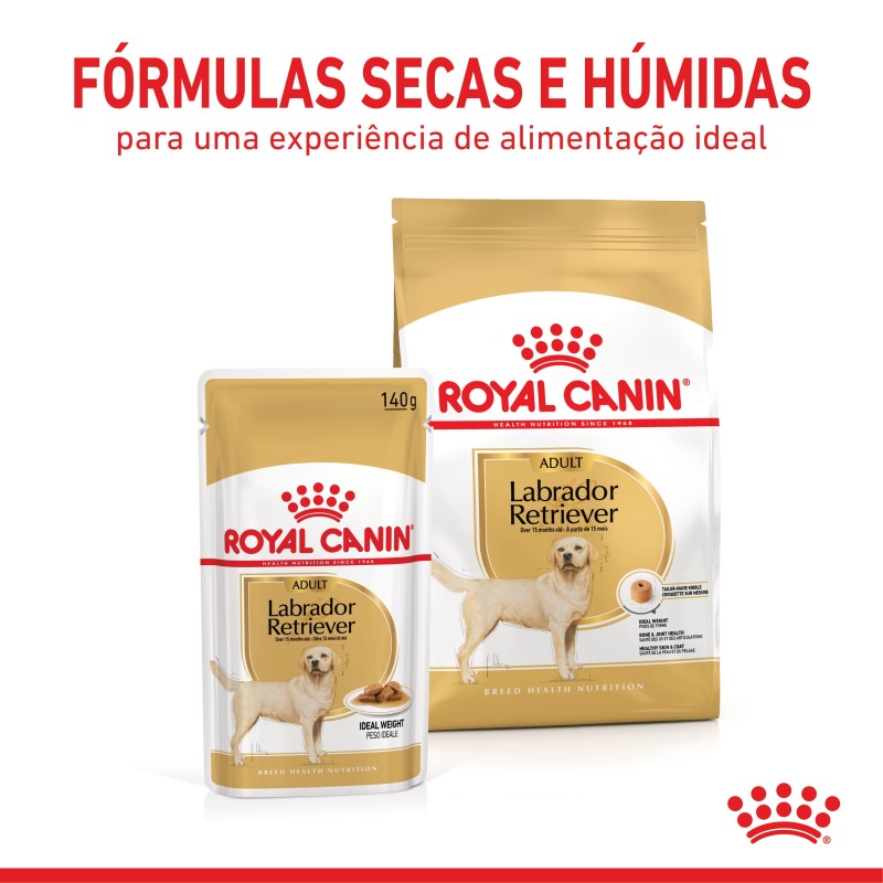 Royal Canin Labrador Retriever Adult - Alimento em molho para cão de raça