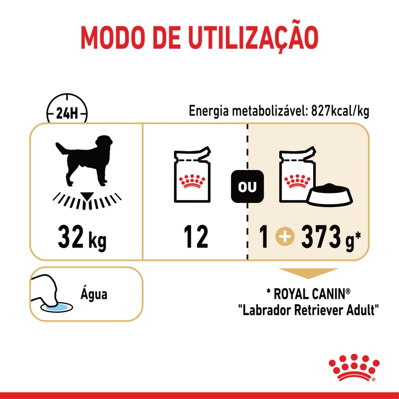 Royal Canin Labrador Retriever Adult - Alimento em molho para cão de raça