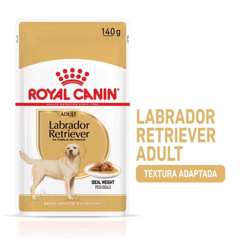 Royal Canin Labrador Retriever Adult - Alimento em molho para cão de raça