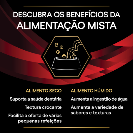 Pro Plan VD DM Diabetes Management - Alimento em patê para gato com diabetes