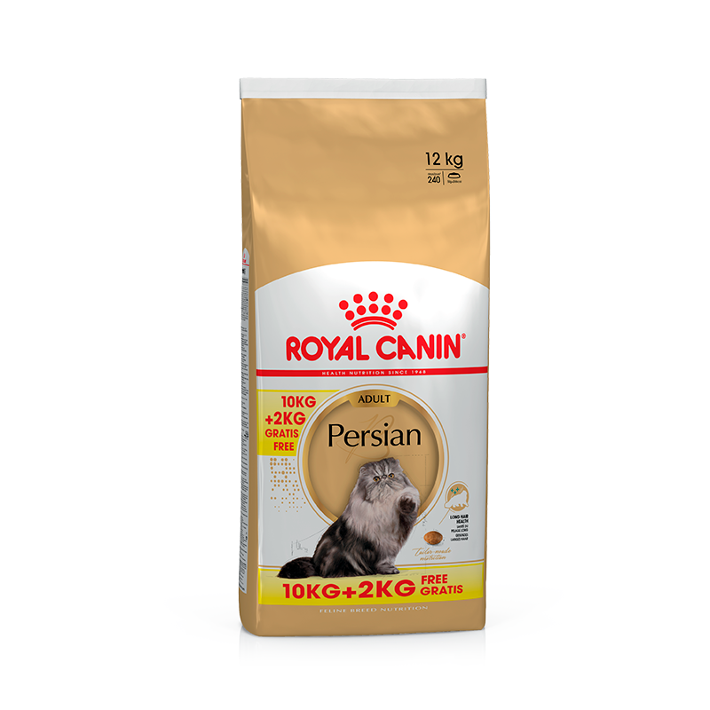 Royal Canin Persian Adult 10+2 kg GRÁTIS - Ração seca gato de raça