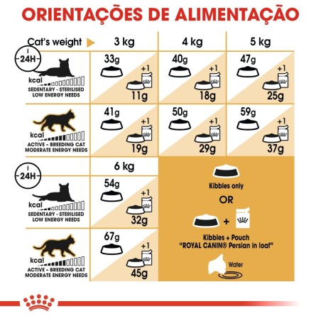 Royal Canin Persian Adult 10+2 kg GRÁTIS - Ração seca gato de raça