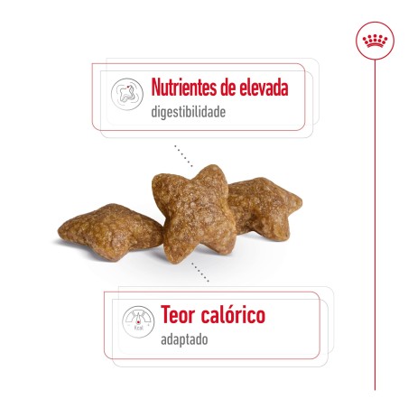 Royal Canin Mini Adult 8+1 kg GRÁTIS - Ração seca para cão de porte pequeno