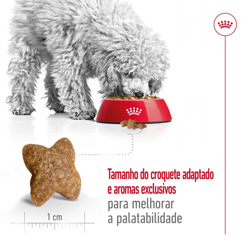 Royal Canin Mini Adult 8+1 kg GRÁTIS - Ração seca para cão de porte pequeno