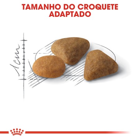 Royal Canin Savour Exigent Adult 10+2 kg GRÁTIS - Ração seca para gato exigente