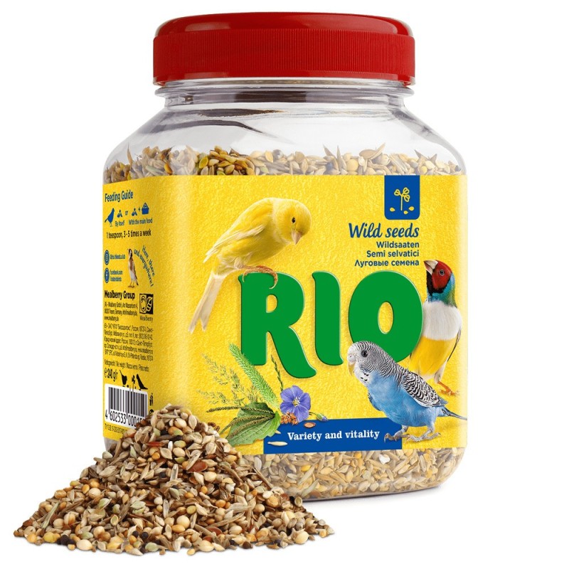 Sementes para aves selvagens - RIO