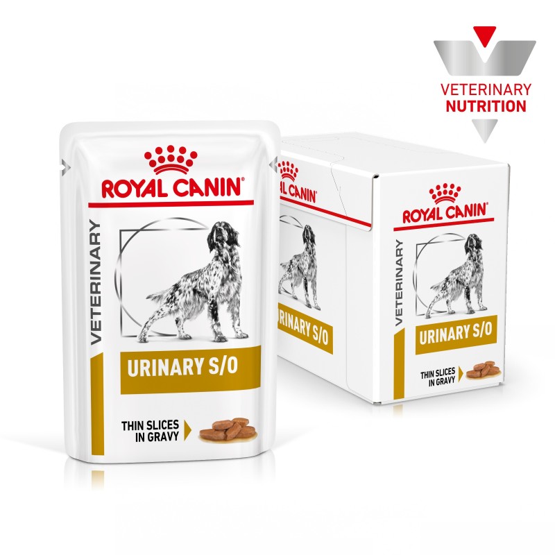 Royal Canin VET Urinary S/O - Alimento em molho para cão adulto com problemas urinários