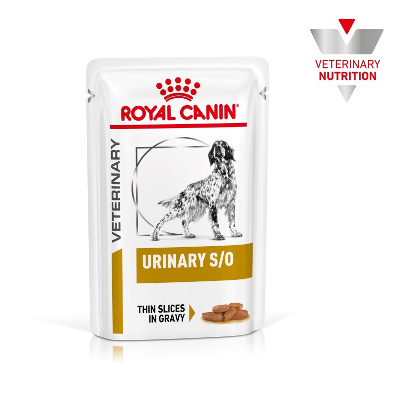 Royal Canin VET Urinary S/O - Alimento em molho para cão adulto com problemas urinários