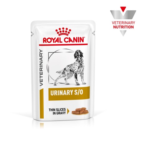 Royal Canin VET Urinary S/O - Alimento em molho para cão adulto com problemas urinários