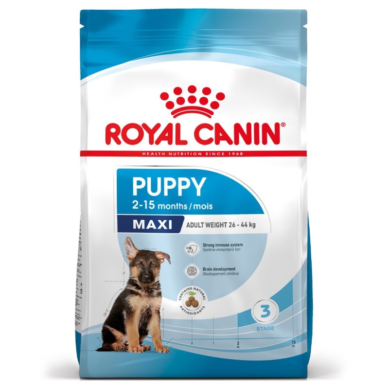 Royal Canin Puppy Maxi - Ração seca para cachorro de porte grande