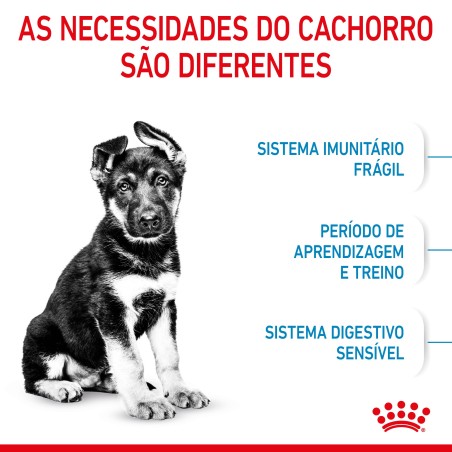 Royal Canin Puppy Maxi - Ração seca para cachorro de porte grande