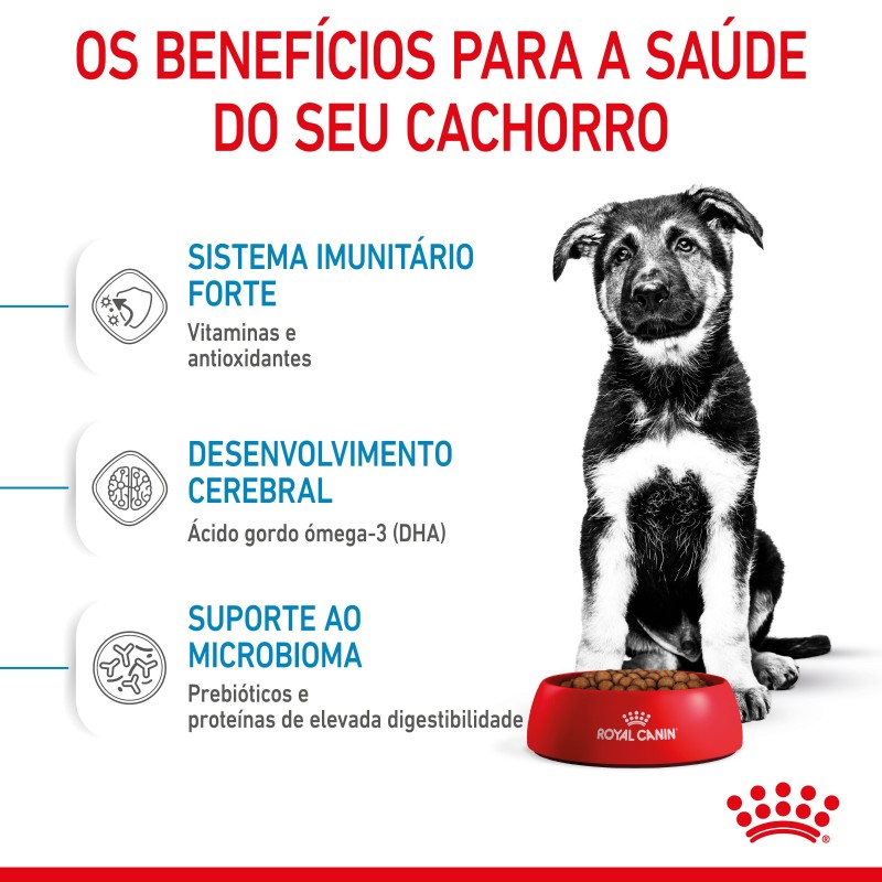 Royal Canin Puppy Maxi - Ração seca para cachorro de porte grande