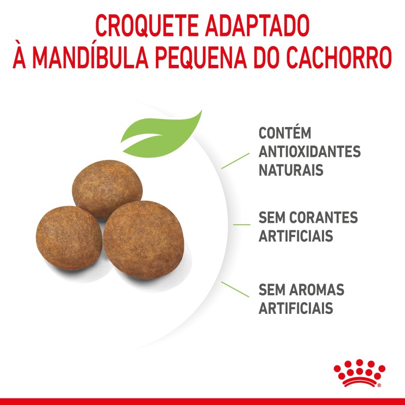 Royal Canin Puppy Maxi - Ração seca para cachorro de porte grande