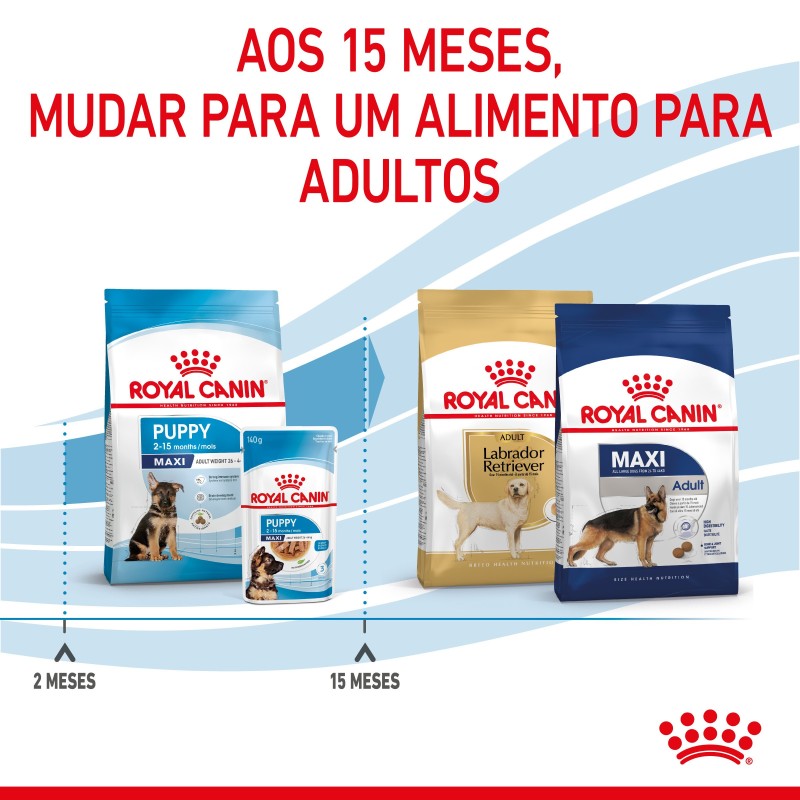 Royal Canin Puppy Maxi - Ração seca para cachorro de porte grande