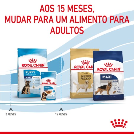 Royal Canin Puppy Maxi - Ração seca para cachorro de porte grande