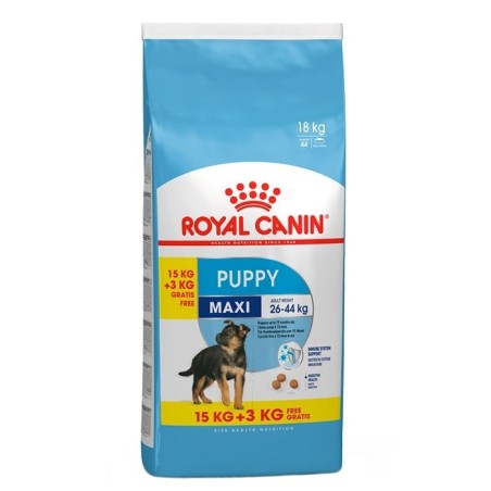 Royal Canin Puppy Maxi - Ração seca para cachorro de porte grande