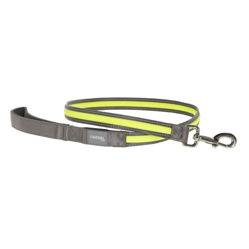 Trela luminosa Light & Reflex para cães - Kerbl