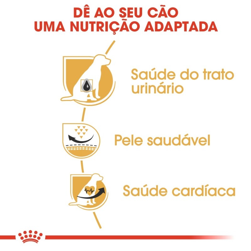 Royal Canin Dálmata Adult - Ração seca para cão de raça