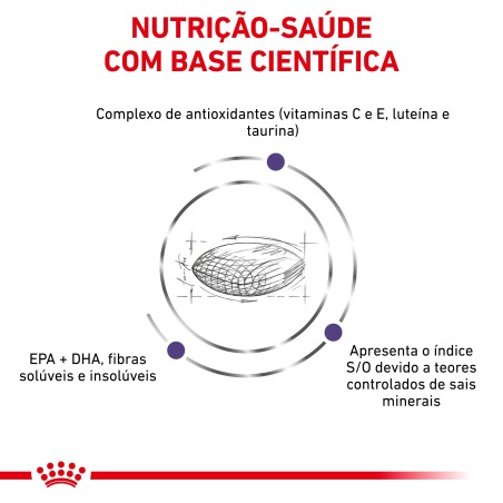 Royal Canin VET Adult - Ração seca para gato